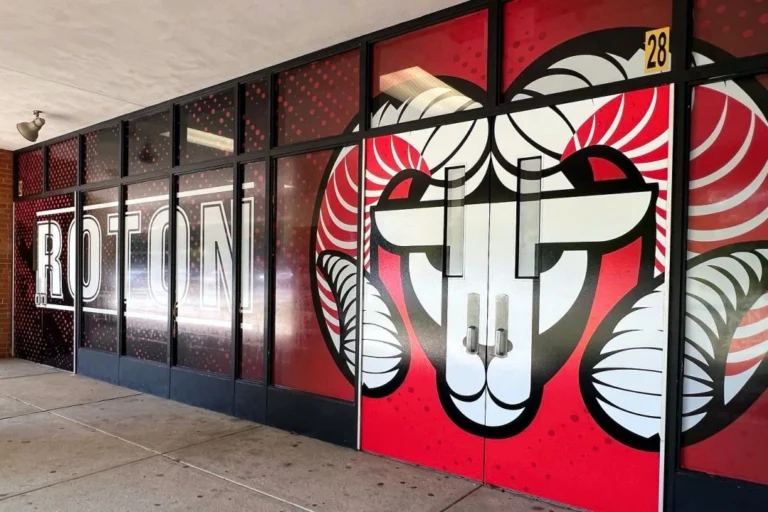SCHOOL GRAPHICS